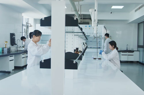 公司擁有先進齊全的檢測儀器和現代化的生產設施